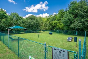 On-Premise Dog Park with Play Equipment